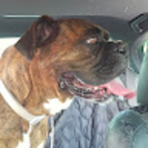 Meet your Posher, Lora